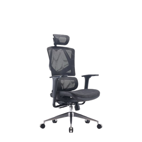 Ghế công thái học ergonomic Sihoo M90