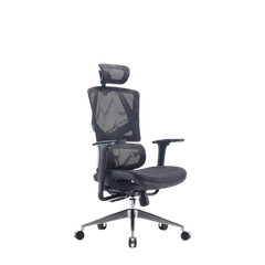 Ghế công thái học ergonomic Sihoo M90