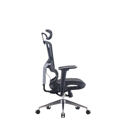 Ghế công thái học ergonomic Sihoo M90