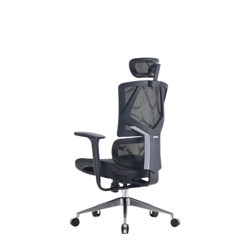 Ghế công thái học ergonomic Sihoo M90