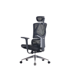 Ghế công thái học ergonomic Sihoo M90