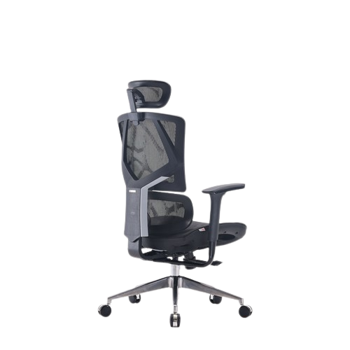 Ghế công thái học ergonomic Sihoo M90