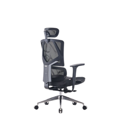 Ghế công thái học ergonomic Sihoo M90