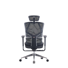 Ghế công thái học ergonomic Sihoo M90