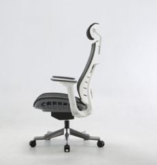 Ghế công thái học ergonomic Sihoo M93