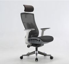 Ghế công thái học ergonomic Sihoo M93