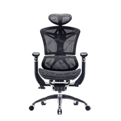 Ghế công thái học ergonomic Sihoo M97 Doro