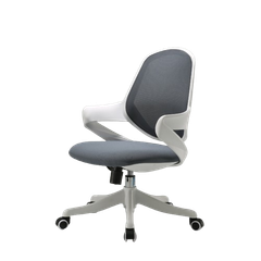 Ghế công thái học ergonomic Sihoo S1C (GL328)