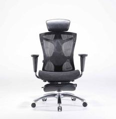 Ghế công thái học ergonomic Sihoo V1