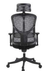 Ghế công thái học WARRIOR Ergonomic Marshal-WEC 610