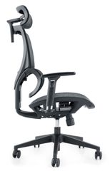 Ghế công thái học WARRIOR Ergonomic Marshal-WEC 620