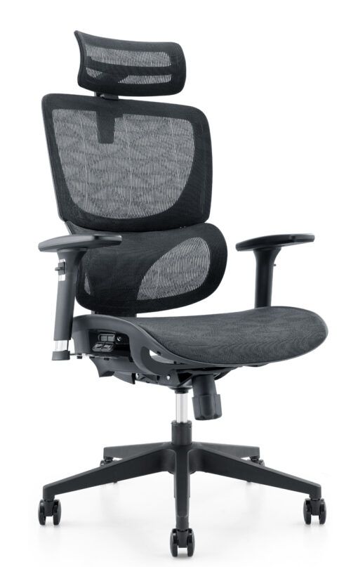 Ghế công thái học WARRIOR Ergonomic Marshal-WEC 620