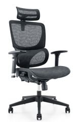 Ghế công thái học WARRIOR Ergonomic Marshal-WEC 620