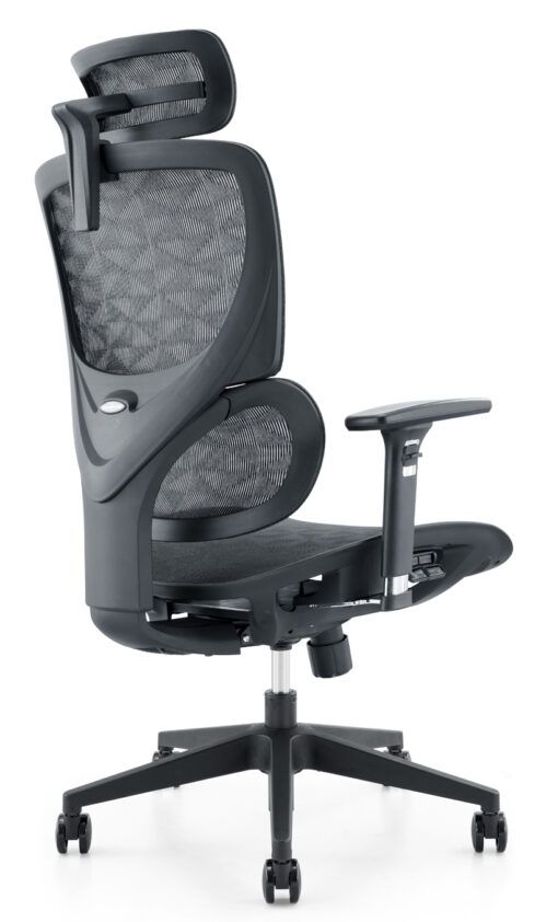 Ghế công thái học WARRIOR Ergonomic Marshal-WEC 620