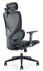 Ghế công thái học WARRIOR Ergonomic Marshal-WEC 620