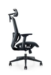 Ghế công thái học WARRIOR Ergonomic Marshal-WEC 630