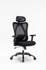 Ghế công thái học WARRIOR – Hero series – WEC501 Plus Black