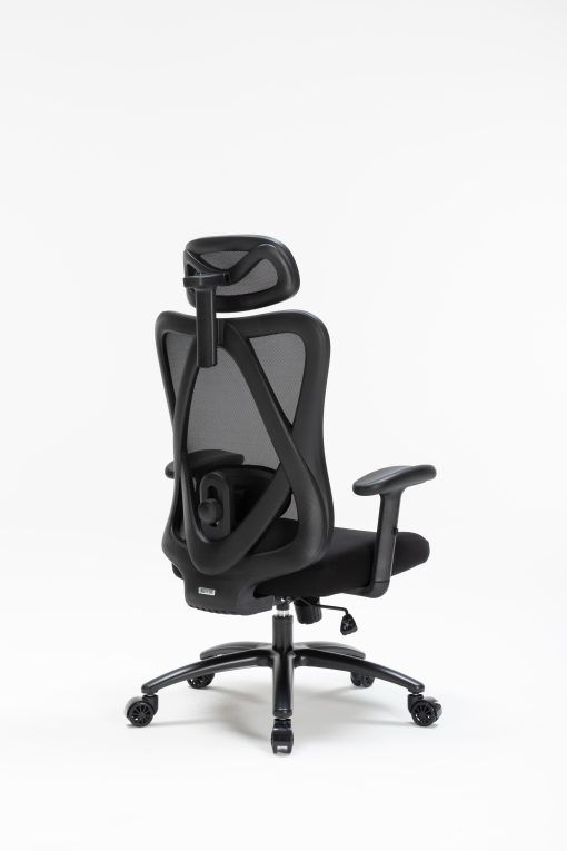 Ghế công thái học WARRIOR – Hero series – WEC501 Plus Black