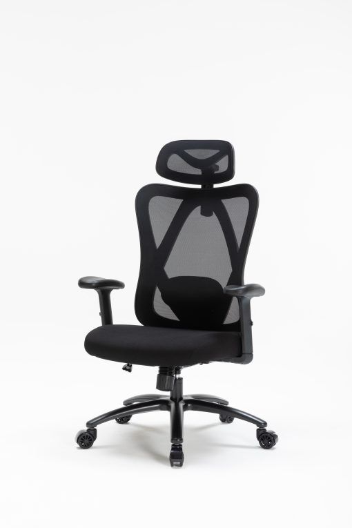 Ghế công thái học WARRIOR – Hero series – WEC501 Plus Black