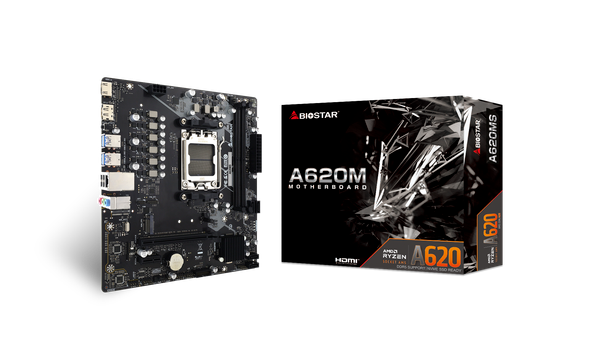Mainboard BIOSTAR A620MS