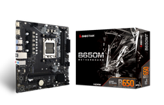 Mainboard BIOSTAR B650MT