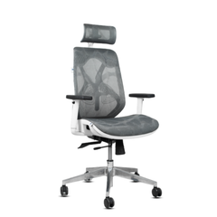 Ghế công thái học ergonomic Yushi Butterfly full lưới vân rồng loại cao cấp