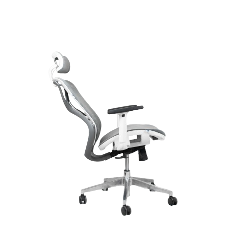 Ghế công thái học ergonomic Yushi Butterfly full lưới vân rồng loại cao cấp