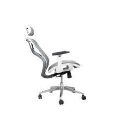 Ghế công thái học ergonomic Yushi Butterfly full lưới vân rồng loại cao cấp