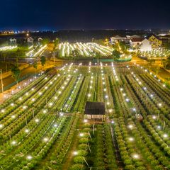 Bóng bulb LED hoa cúc E27 Nanoco 9W - ánh sáng vàng