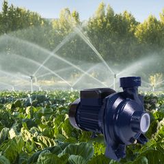 Máy bơm nước Nanoco dòng bơm lưu lượng model NDK1100/NDK1500 (công suất 1100W VÀ 1500W)