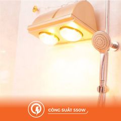 Đèn sưởi gắn tường 2 bóng 550W Nanoco model NBH634BE/NBH649G ( màu beige/vàng đồng)