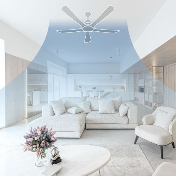 Quạt trần Panasonic model F-60DGN (màu đen - 10 chế độ gió  - công suất 73W) - KHÔNG GỒM PHÍ LẮP