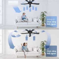 Quạt trần Panasonic model F-60DGN (màu đen - 10 chế độ gió  - công suất 73W) - KHÔNG GỒM PHÍ LẮP