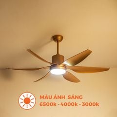 Quạt trần 6 cánh - Đèn LED có remote Nanoco model NCF5462-GL/SL (Công suất 69W, Động cơ DC)