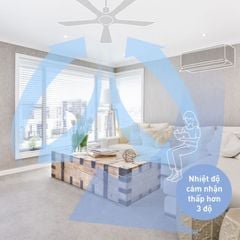 Quạt trần Panasonic model F-56NCL (màu đồng cổ điển - 5 chế độ gió - 70W) - KHÔNG GỒM PHÍ LẮP