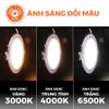 Đèn downlight LED Nanoco φ135 12W 3 màu model: NSD12CS135/ NSD12CW135/ NSD12CG135 - viền vàng/ trắng/ bạc
