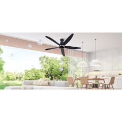 Quạt trần Panasonic model F-60FEN (màu đen - 9 chế độ gió  - 40W) - KHÔNG GỒM PHÍ LẮP