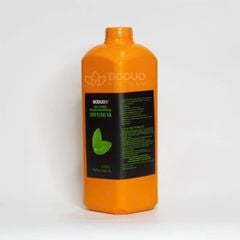 Syrup Bạc Hà Xanh Boduo 2L