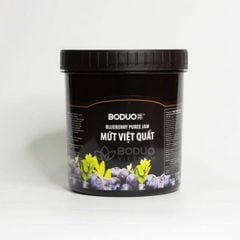 Mứt Việt Quất Boduo 1.3kg