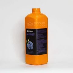 Syrup Việt Quất Boduo 2L