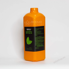 Syrup Bạc Hà Xanh Boduo 2L