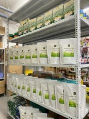 Bột matcha trà xanh Phúc Sang (Matcha Nhật) 100g (Đã Bao Gồm VAT)