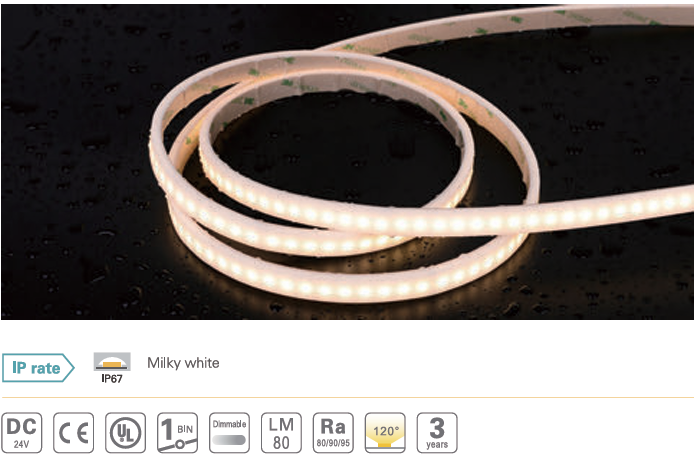 LED Dây Chống Nước F2835X60