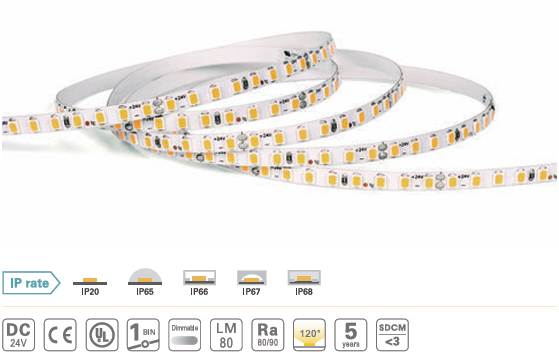 LED Dây Chống Nước F2835X80