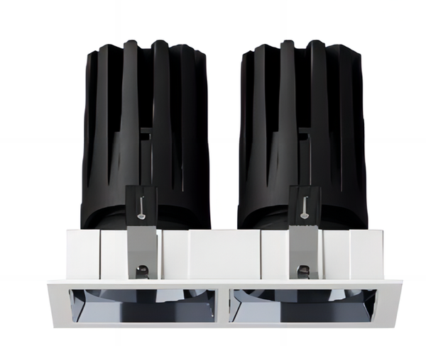  Đèn LED Hai đầu Spotlight 2*10W KJS5220 