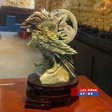  Vẹt Serpentine LHSTVN-9055 