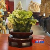  Cải Thảo Phú Quý Ngọc Serpentin LHSTVN-9056 