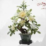  Cây Hoa Mẫu Đơn Tài Lộc LHSTVN-9012 