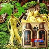  DẦU GỘI ĐEN TÓC NHÂN SÂM HÀN QUỐC LHHEKR-9054 