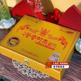  Nước Đông Trùng Hạ Thảo Kanghwa LHHEKR-9137 